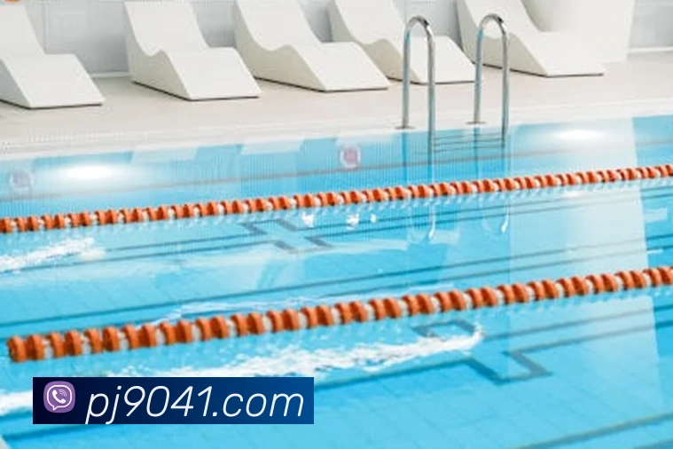 App功能展示图